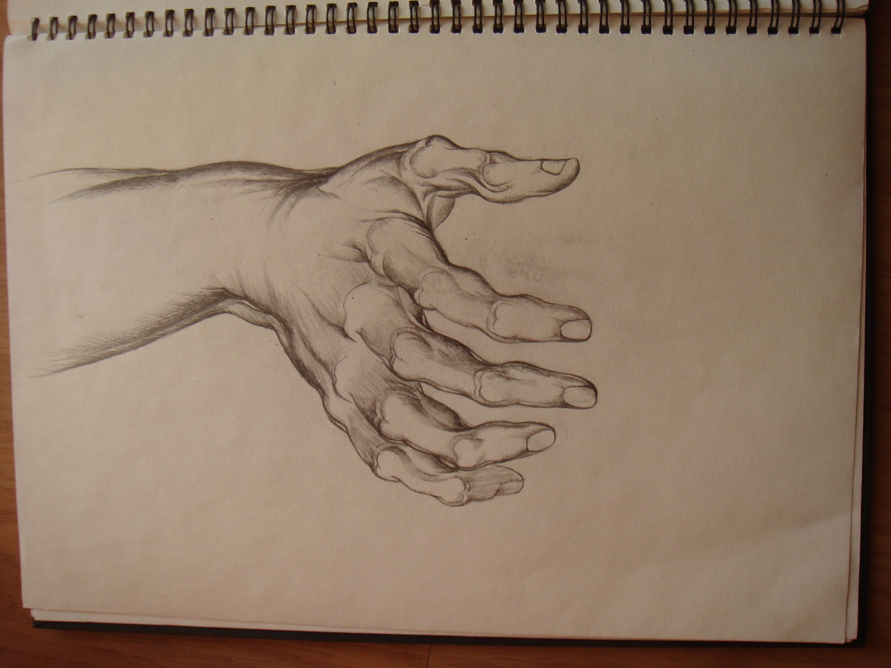 临摹伯恩霍加斯的习作