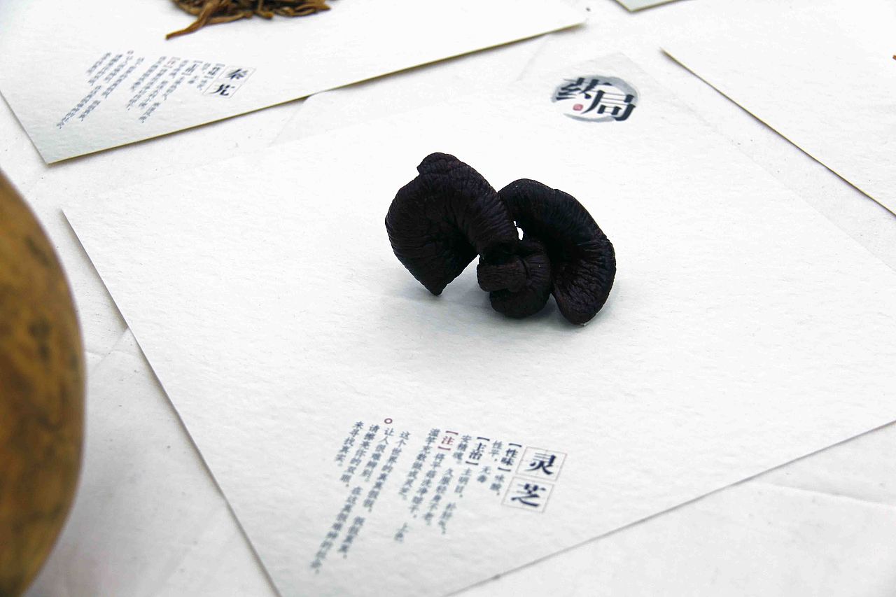 2013年内蒙古师范大学国际现代设计艺术学院09届毕业设计展