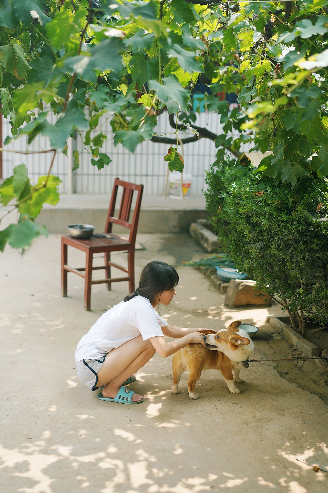 little forest/小森林（图ZMTM4NjcwOTg4） - 人像摄影 - 站酷设计师给给Eru原创素材 - 站酷ZCOOL