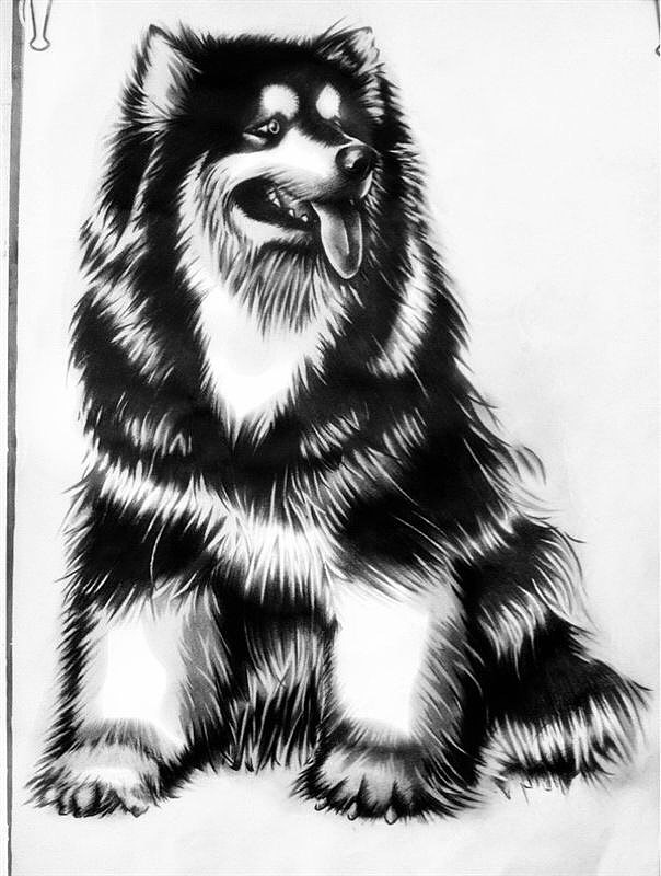 手绘,全是手绘。