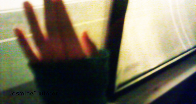 雖然最近青島大虾賣太贵.但我依然愛這座城