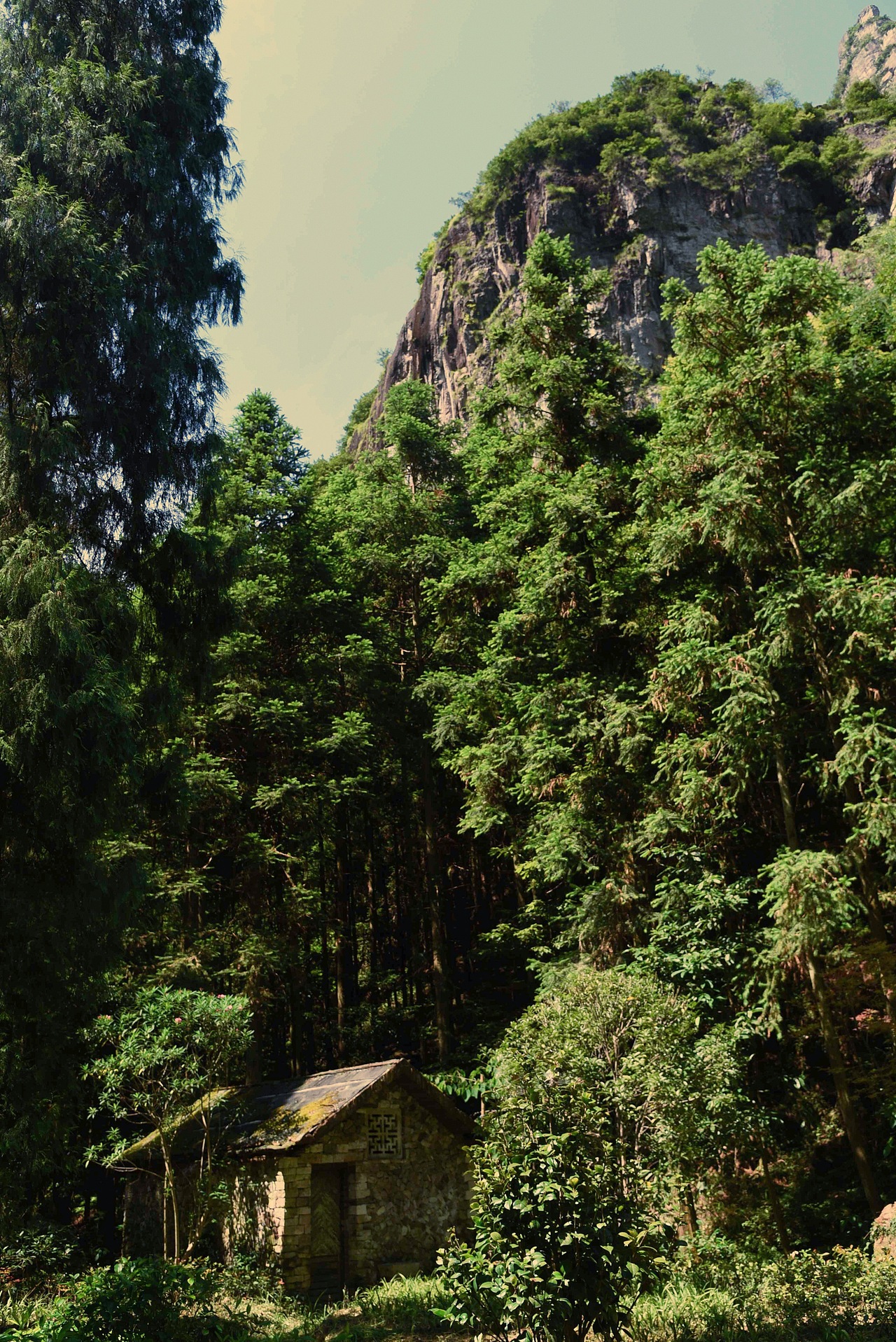 无题（图ZNTY5Nzk3NDg=） - 风光摄影 - 站酷设计师素直子桑原创素材 - 站酷ZCOOL