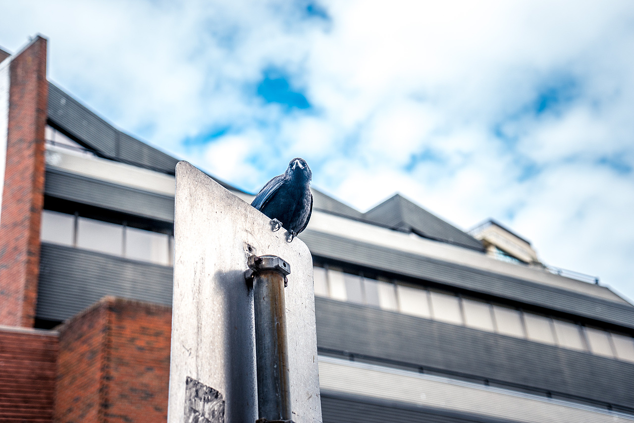 2015 - 遇见的风景（图ZNDA2OTQ4MDQ=） - 风光摄影 - 站酷设计师喜三皮原创素材 - 站酷ZCOOL