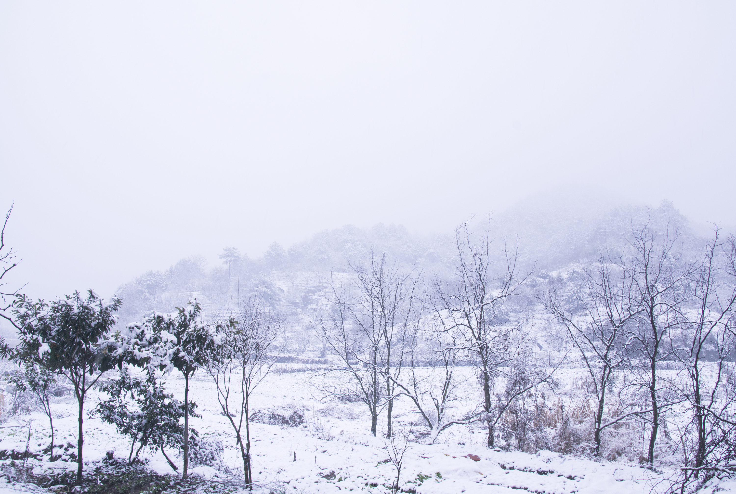 冬雪纪事|摄影|风光|clorisc - 原创作品 - 站酷 (zcool)