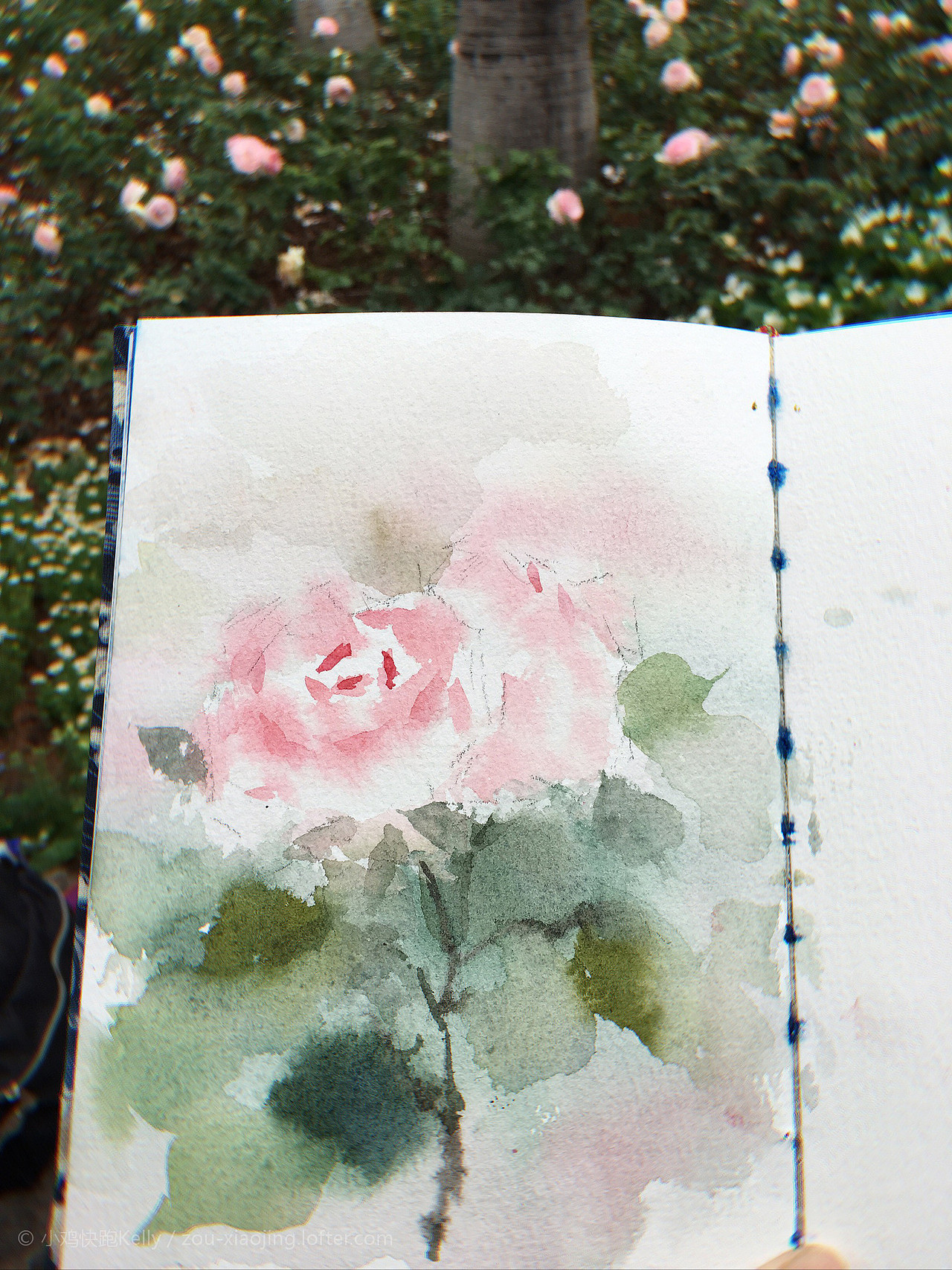 仙湖植物園（圖ZMjA0MTI2NjUy） - 創(chuàng)作習(xí)作 - 站酷設(shè)計(jì)師小雞快跑Kelly原創(chuàng)素材 - 站酷ZCOOL