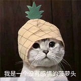 南韩candy的头像