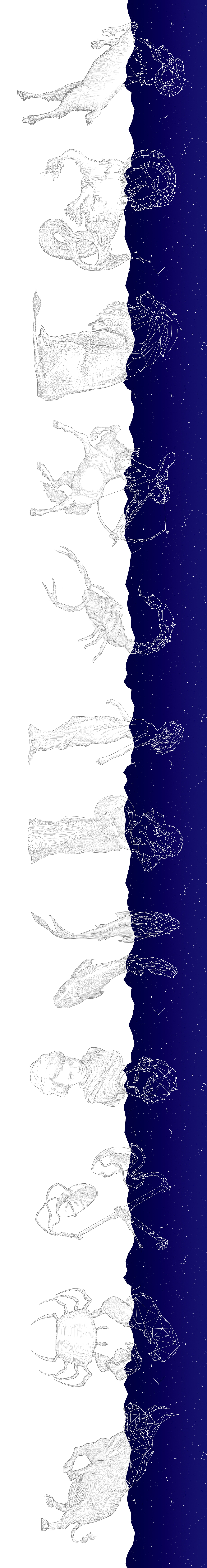 满足你对星空的幻想-餐饮品牌设计（图ZMjQyMTQzNjM2） - 品牌 - 站酷设计师豆阿i原创素材 - 站酷ZCOOL