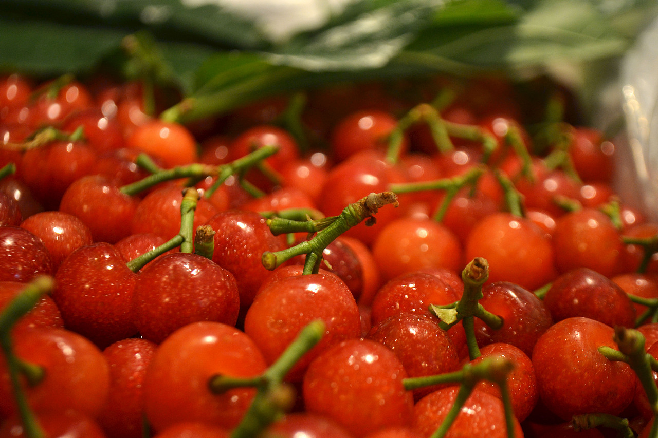 和吉膳樱桃（图ZMTkxMjc1NjU2） - 产品摄影 - 站酷设计师可畏一腔孤勇原创素材 - 站酷ZCOOL