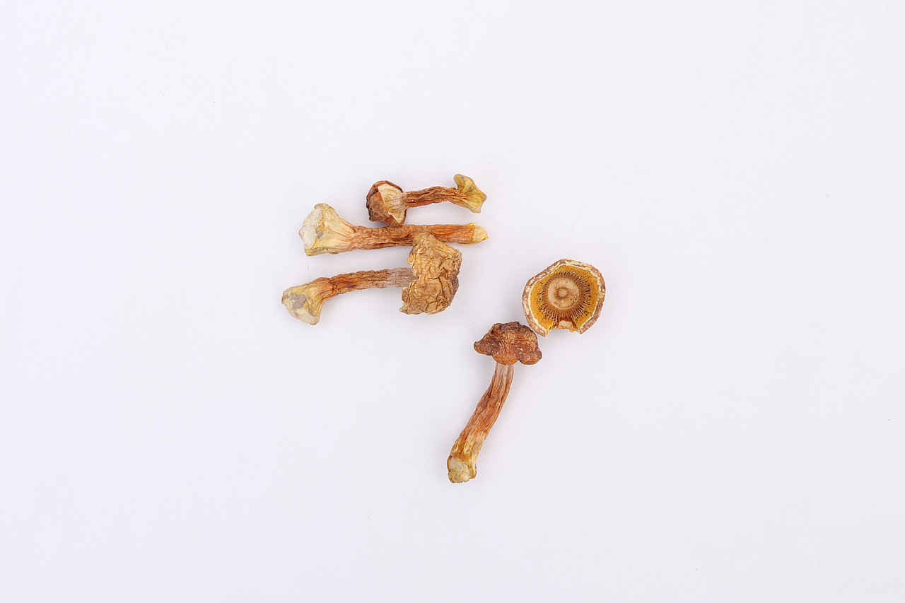 B06粮油米面\C06-南北干货\V12姬松茸X1-QM