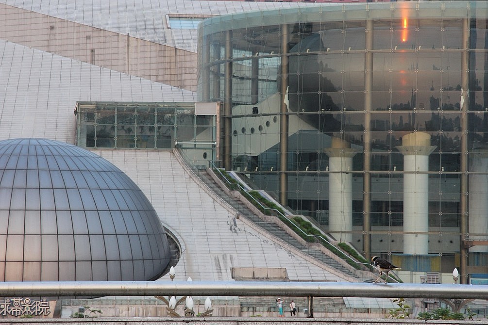 佳能60D新机试拍片子（图ZNjU5MDA0MA==） - 其他摄影 - 站酷设计师xoki原创素材 - 站酷ZCOOL