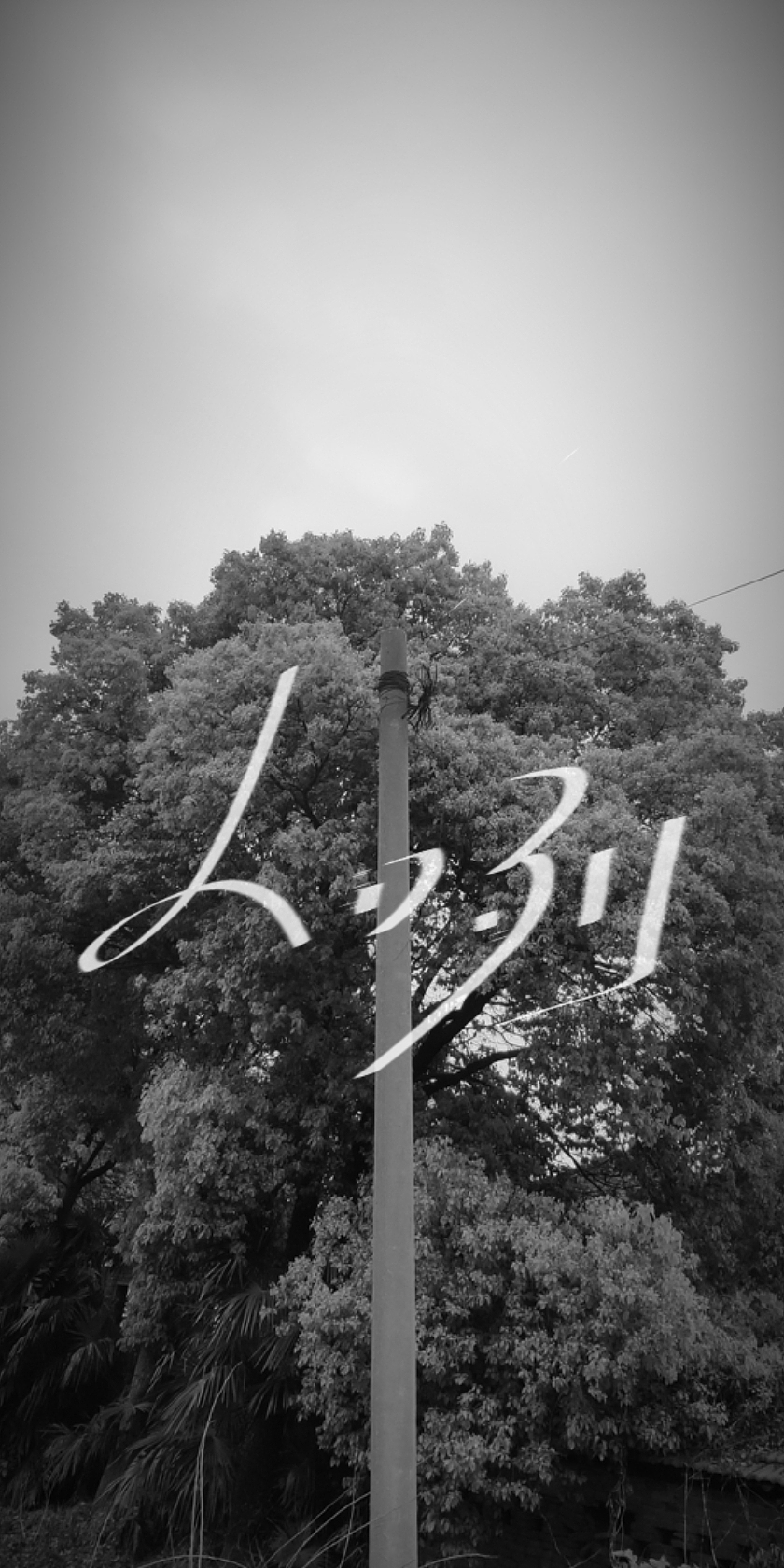 被自己闲下来了（图ZMTU2MDg4NzY0） - 字体/字形 - 站酷设计师岁聿原创素材 - 站酷ZCOOL