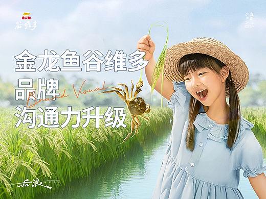 后浪【金龙鱼稻米油品牌沟通力升级】