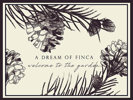 单色复古高级感插画 30张 植物花卉明信片