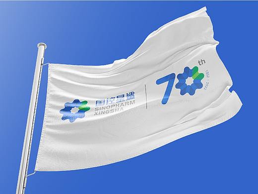 国控星鲨品牌设计与70周年徽标设计方案