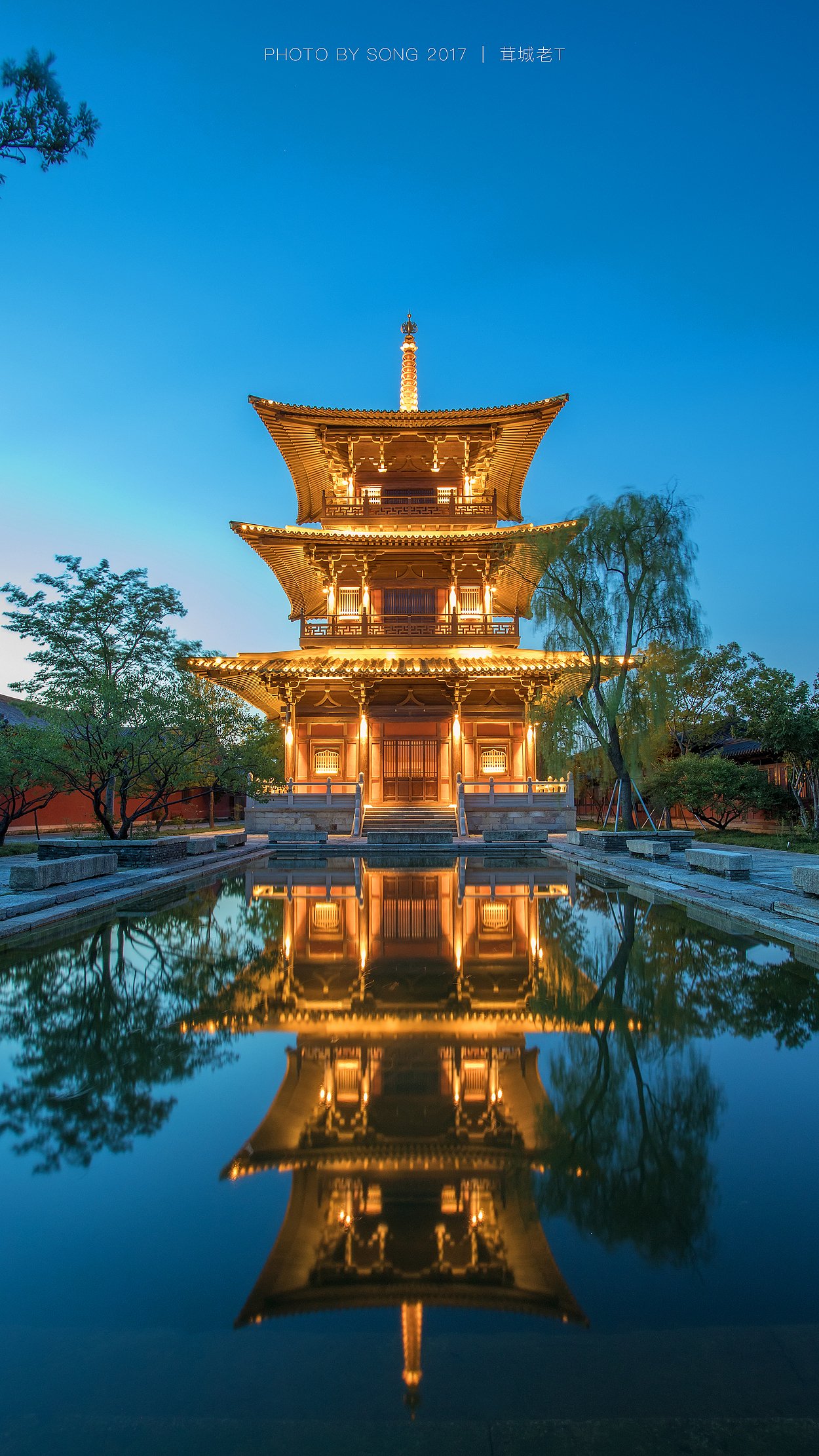 20分享收藏老街虞美人青海花田标签广富林遗址松江上海茸城老t古建筑