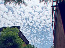 纪念一下今天的云朵 