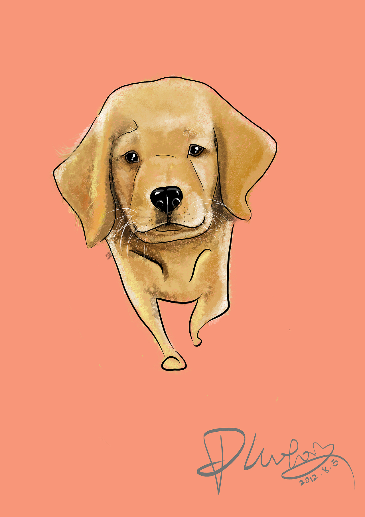 狗狗 狗设计 狗品种设计（图ZMTE0ODMxMDQ=） - 新锐潮流插画 - 站酷设计师plutodwa原创素材 - 站酷ZCOOL