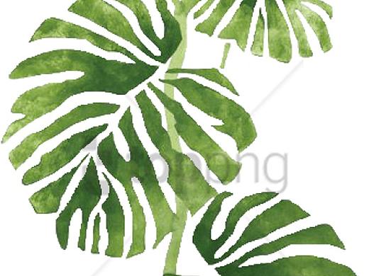 2020小清新图库-绿植（个人主页-ZNDQxNTAyODQ=） - 品牌 - 站酷设计师窗帘图库原创素材 - 站酷ZCOOL