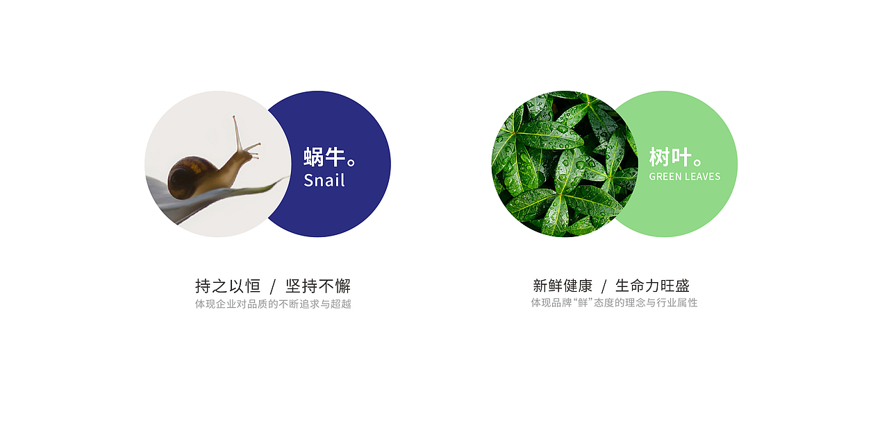 蜗家鲜生【品牌视觉】