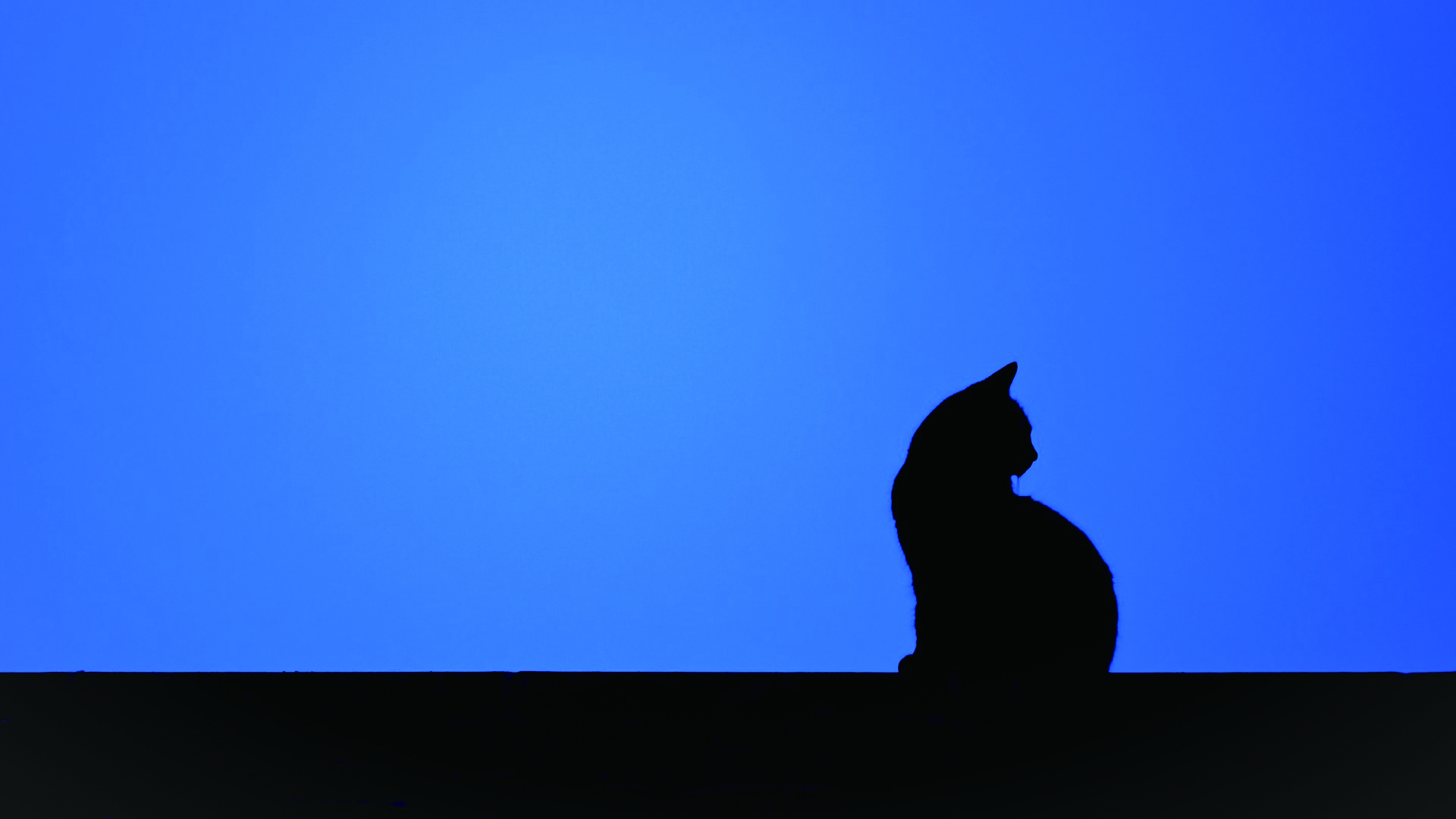 阿烈1的个人主页（封面预览） - 主页封面设置 - 站酷设计师阿烈1原创素材 - 站酷ZCOOL