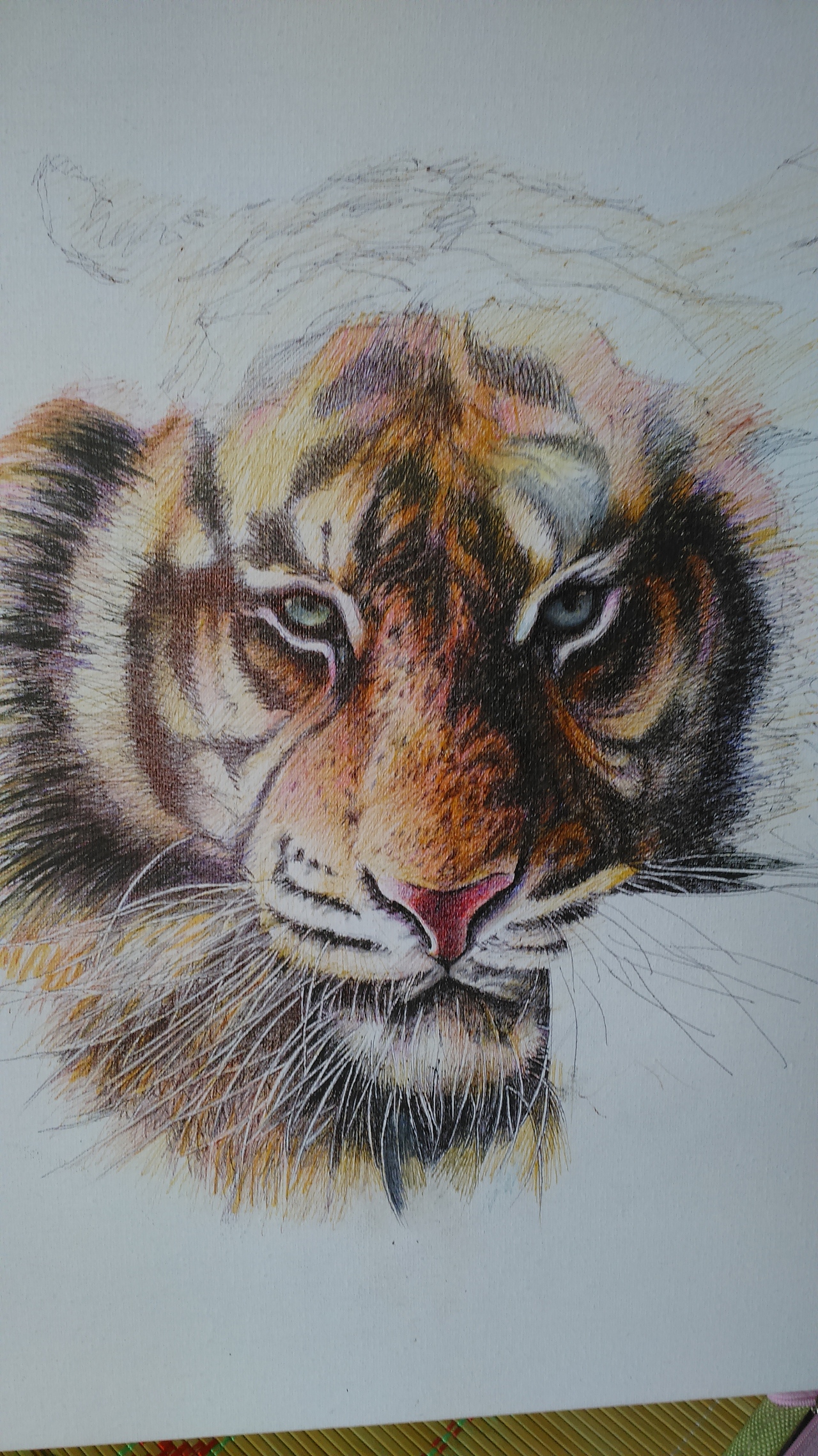 圆珠笔动物系列