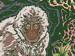 异闻图志-偷月季