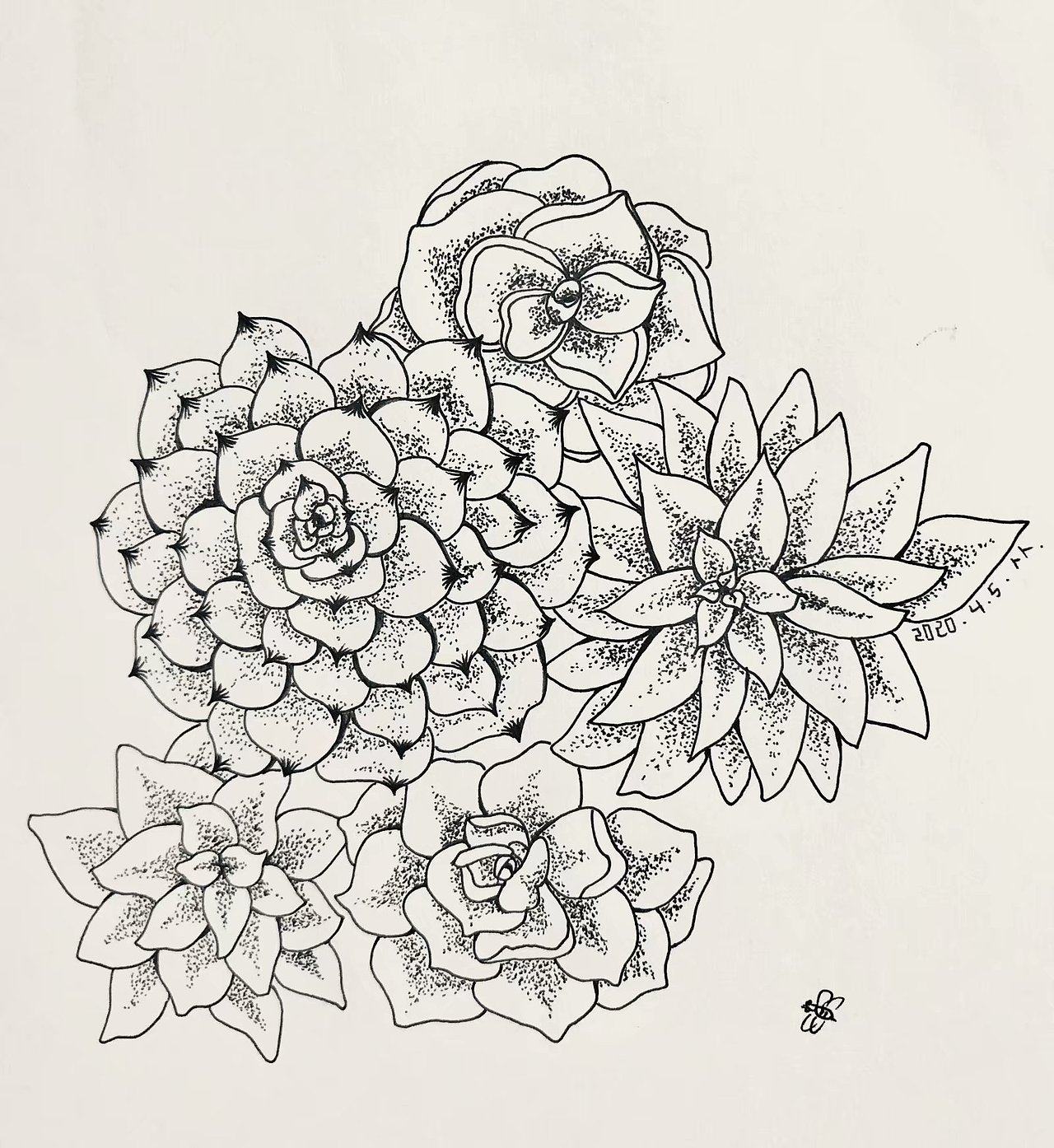 黑白无间-植物篇（图ZMjA3NjcwNzQw） - 创作习作 - 站酷设计师我不是萝卜头原创素材 - 站酷ZCOOL