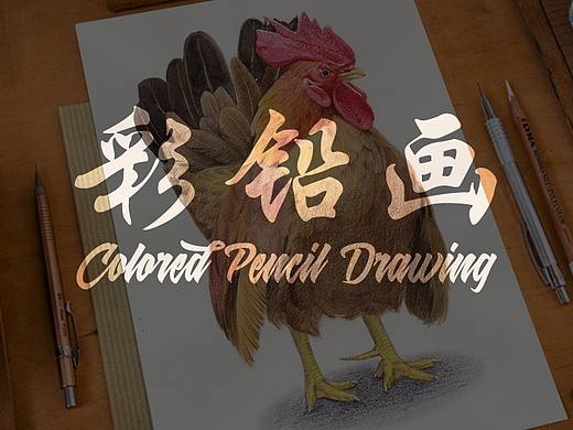 彩铅-Colored Pencil Drawing
