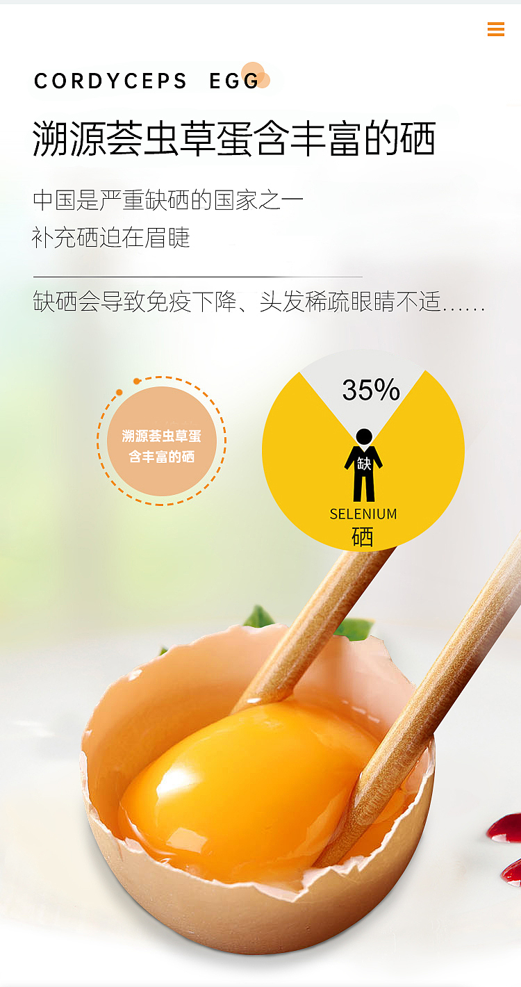 农产品 虫草鸡蛋 详情页（图ZMjMwOTEzNzgw） - 电商 - 站酷设计师鱼乐可原创素材 - 站酷ZCOOL