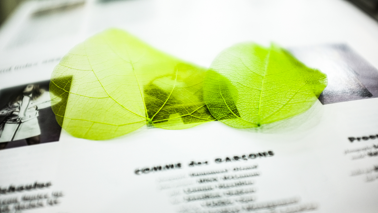 《叶碎落》TOM逐梦香格里拉——小叶子（图ZMTE4MDMyNzY=） - 产品摄影 - 站酷设计师MrKoki原创素材 - 站酷ZCOOL