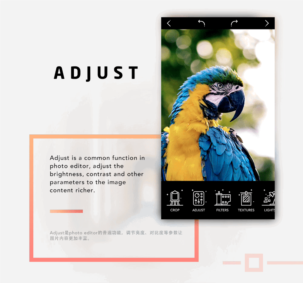 Delight 2.0 APP设计