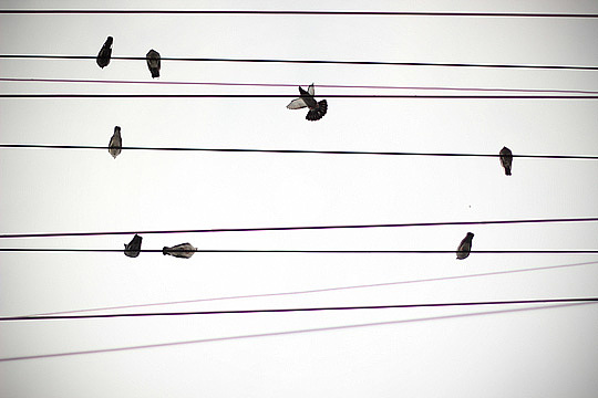 扫街静物篇@南京东路到@小南门 