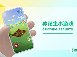 華盛通種花生小游戲