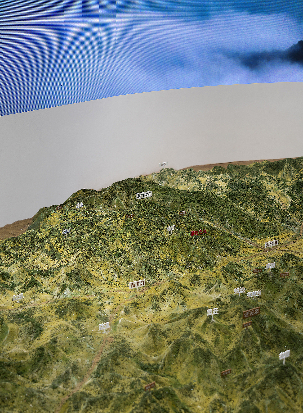 沉浸体验时代，雨林古树茶的体验之旅（图ZMjk0OTg0ODg4） - 展陈设计 - 站酷设计师容品牌原创素材 - 站酷ZCOOL