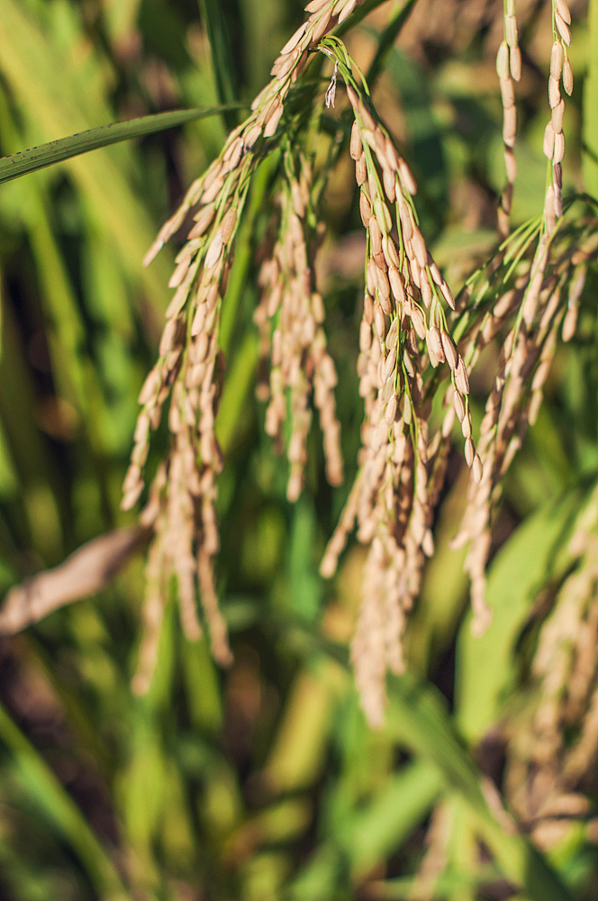 2015.09.30-10.06 故湘纪