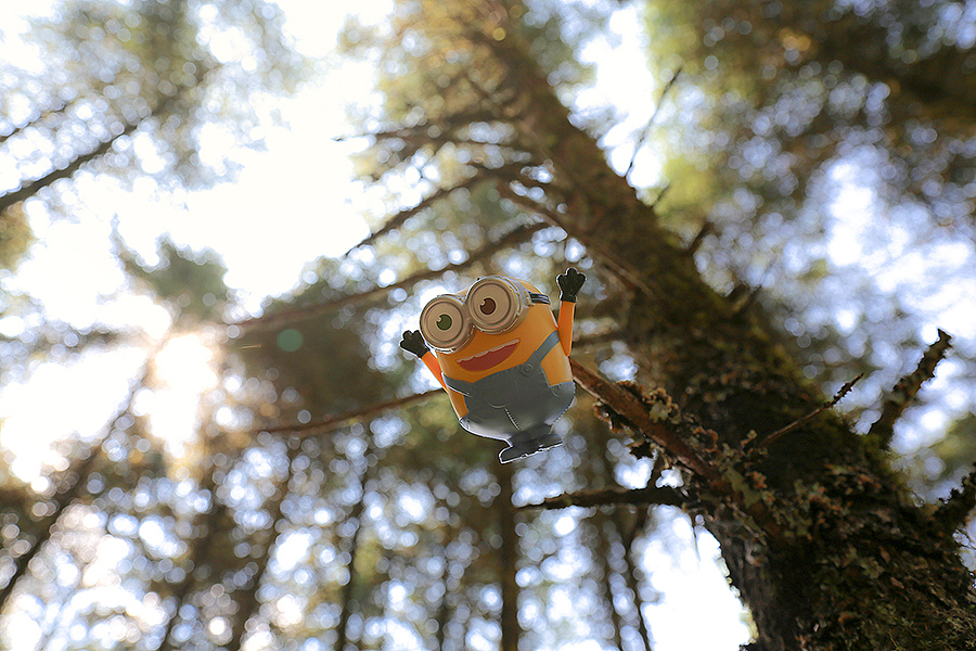 15年的照片（图ZMzk2MjQ2NjA=） - 风光摄影 - 站酷设计师forever_c原创素材 - 站酷ZCOOL