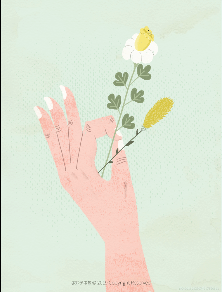 2019年插画汇总集（图ZMTkxNTM1NDQ4） - 创作习作 - 站酷设计师妙子考拉原创素材 - 站酷ZCOOL