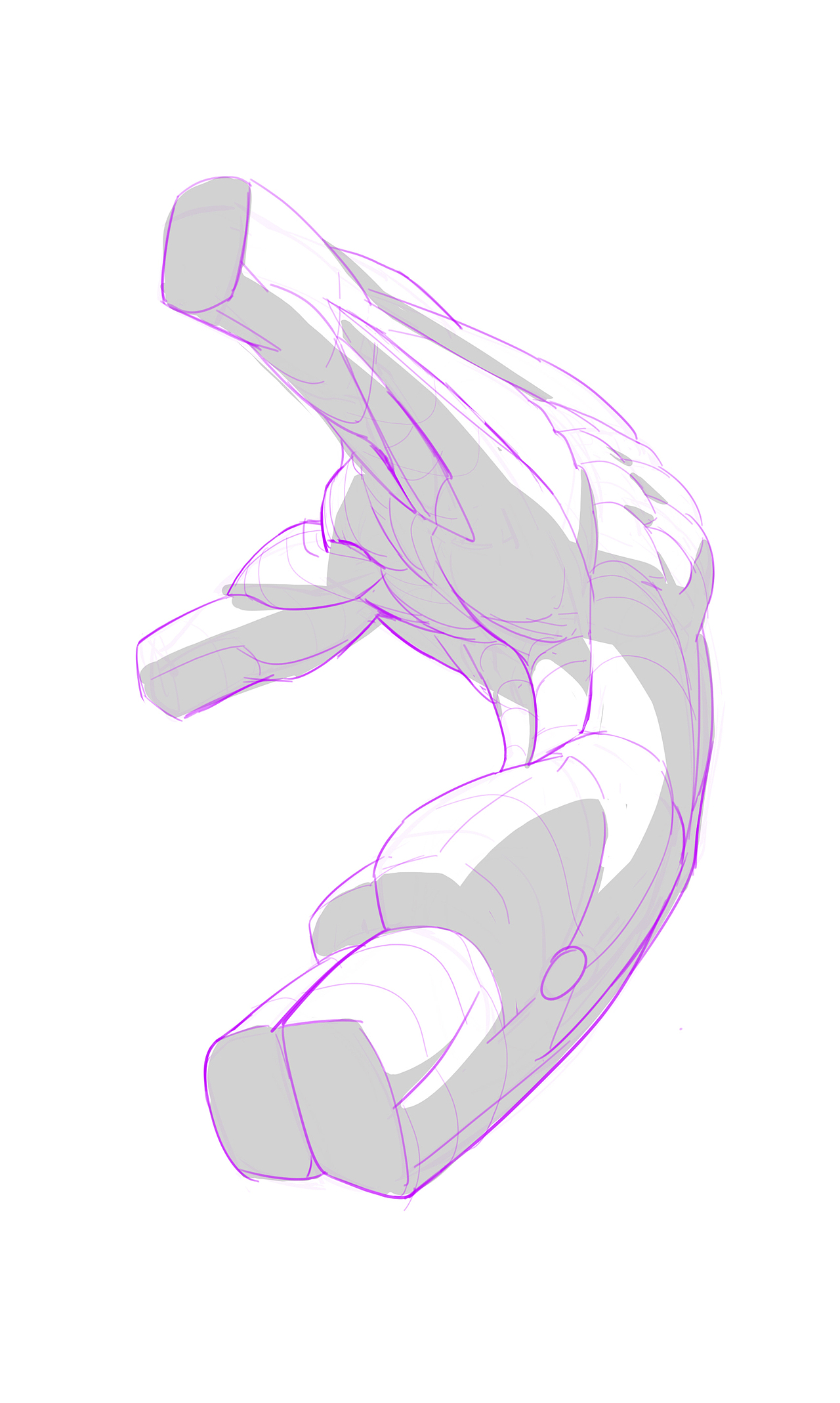 人体结构躯干结构怎么画分享一组素材