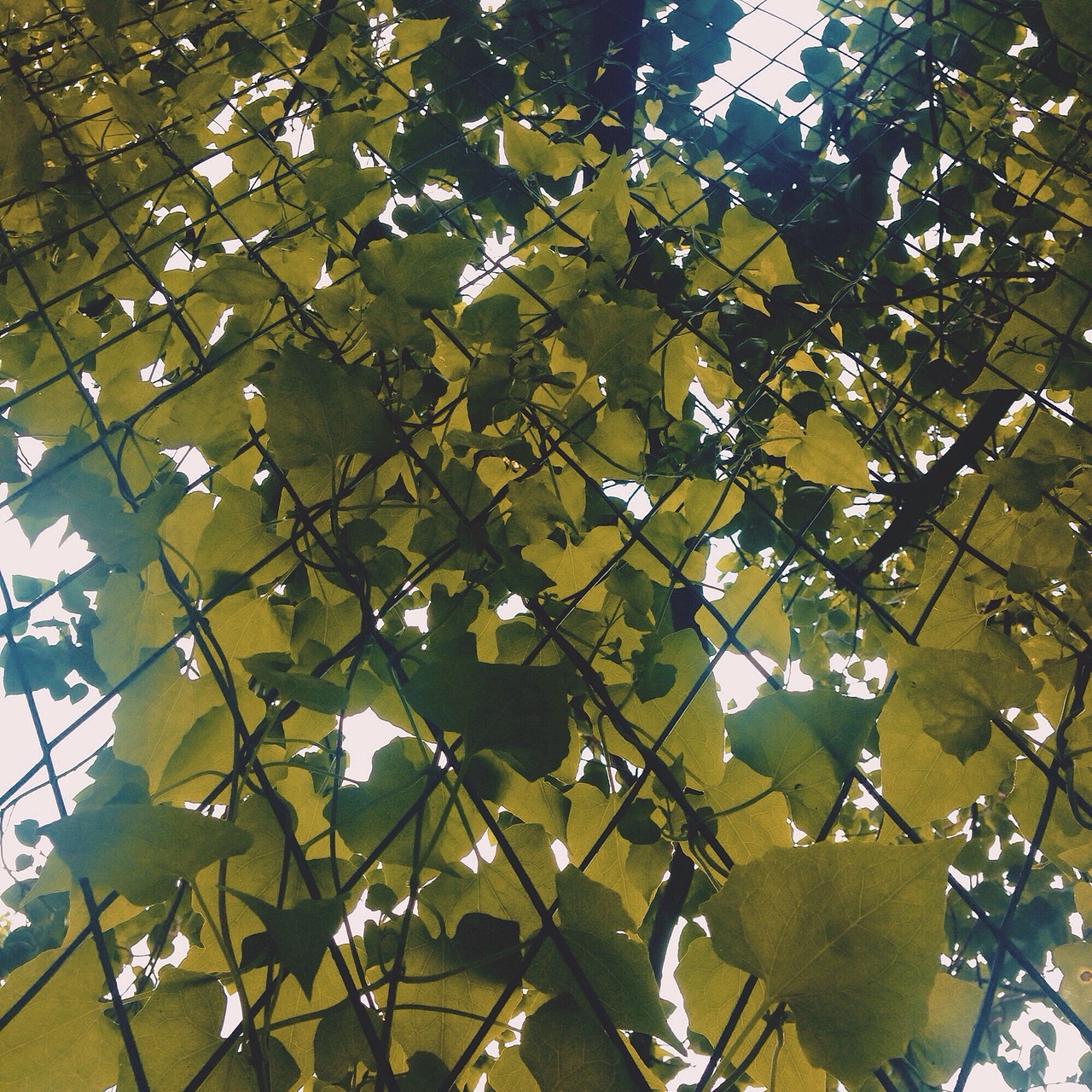 路过便是永远（图ZMzE4MzY1MjA=） - 风光摄影 - 站酷设计师阿肉_原创素材 - 站酷ZCOOL