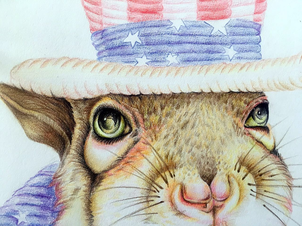 乖巧之美——松鼠（圖ZNzc1MjY3MDQ=） - 藝術(shù)插畫(huà) - 站酷設(shè)計(jì)師夏天里的冰魔原創(chuàng)素材 - 站酷ZCOOL