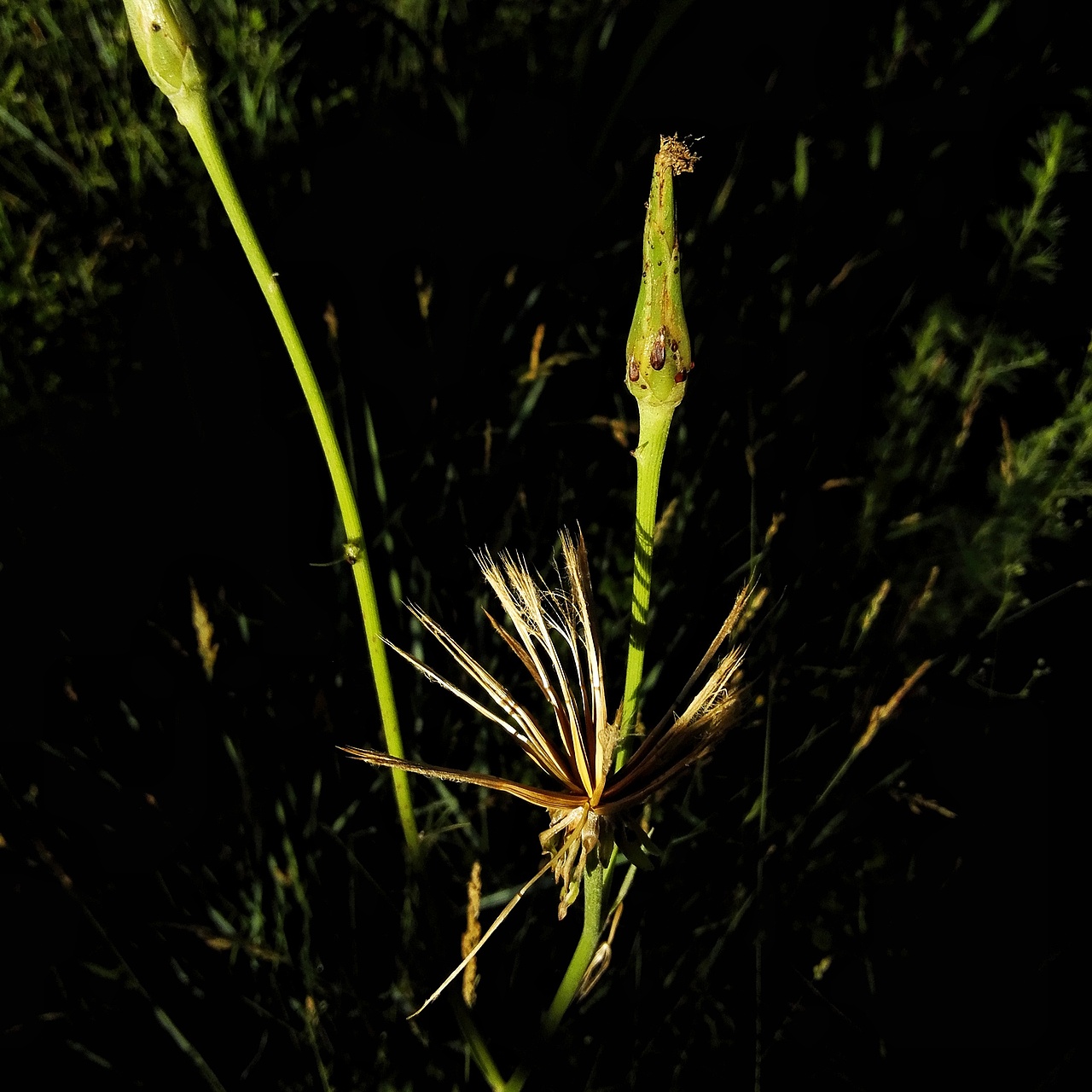 五月的一个早晨