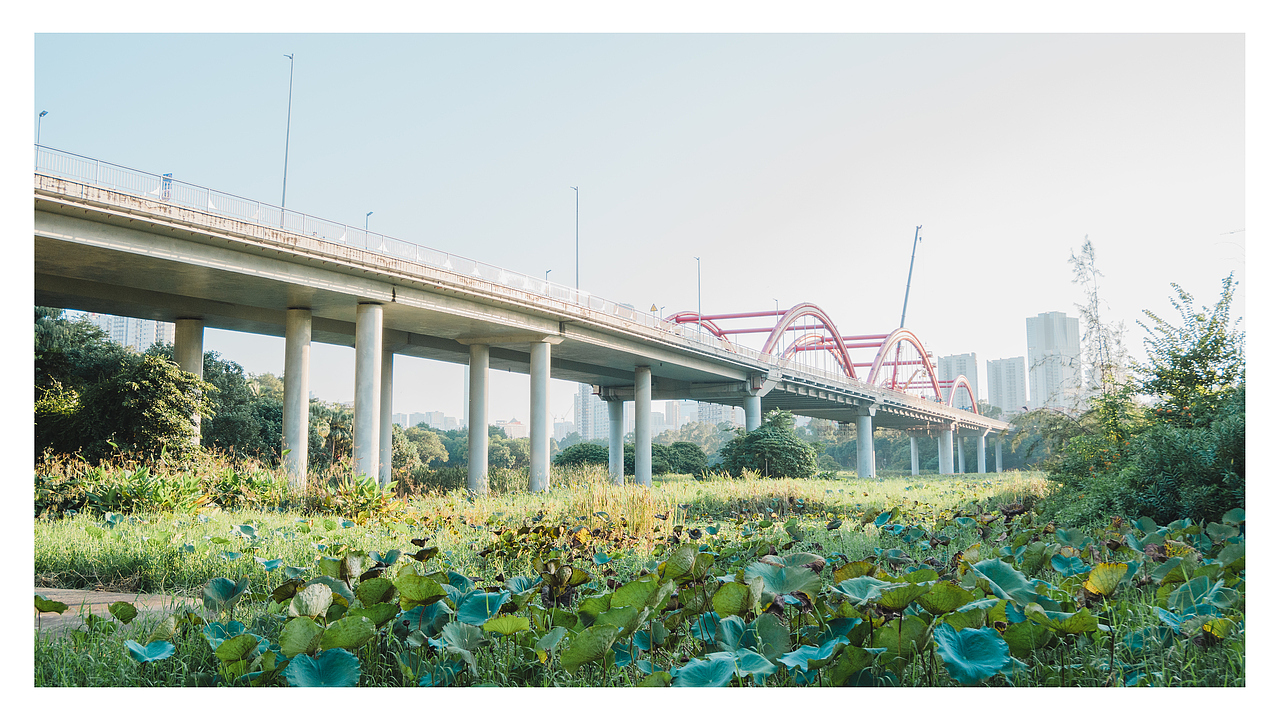 公园景色-深圳（图ZMjc1NzQyMjM2） - 风光摄影 - 站酷设计师鹿鸣远一原创素材 - 站酷ZCOOL