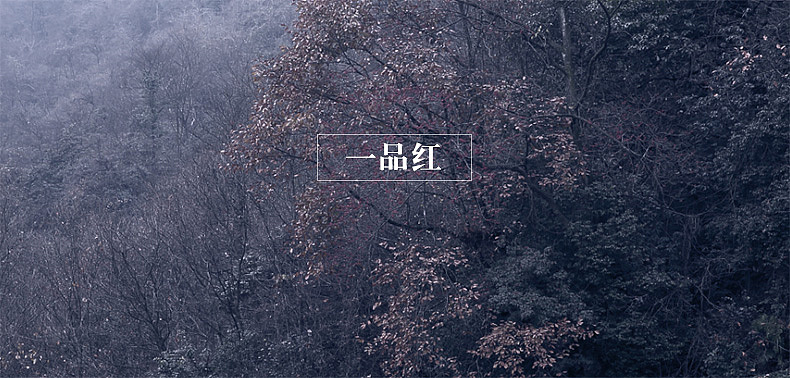 正韵级系列散茶设计（图ZODAxODMyNzY=） - 电商 - 站酷设计师kuyi酷儿原创素材 - 站酷ZCOOL