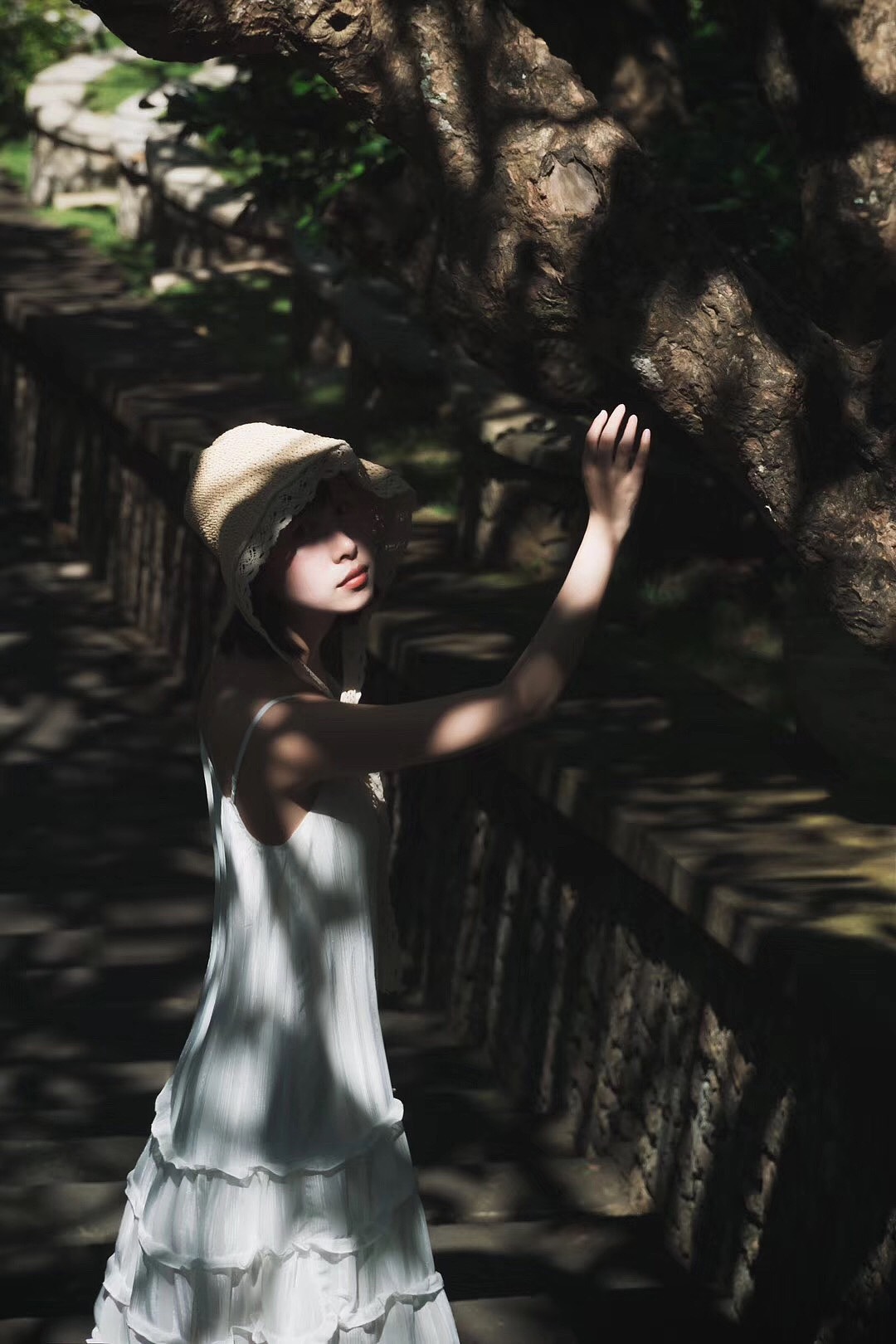 向日葵与雏菊的夏天