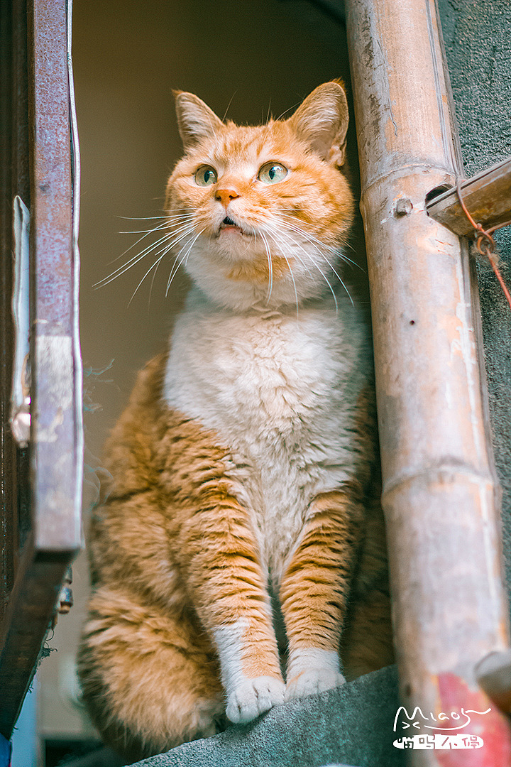 “哇,不是吧~”