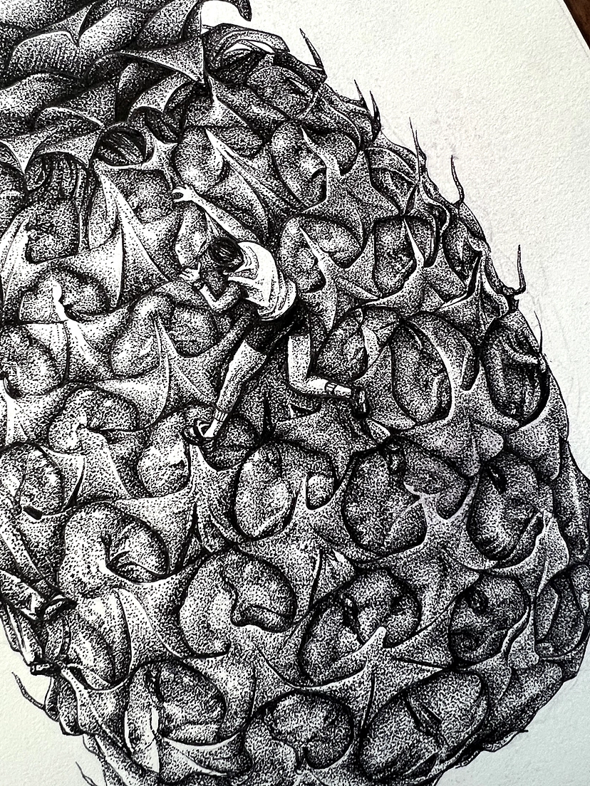 钢笔点绘——菠萝联想