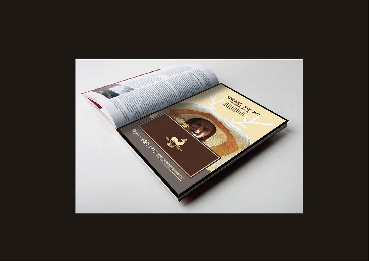 晓庐视觉形象提案