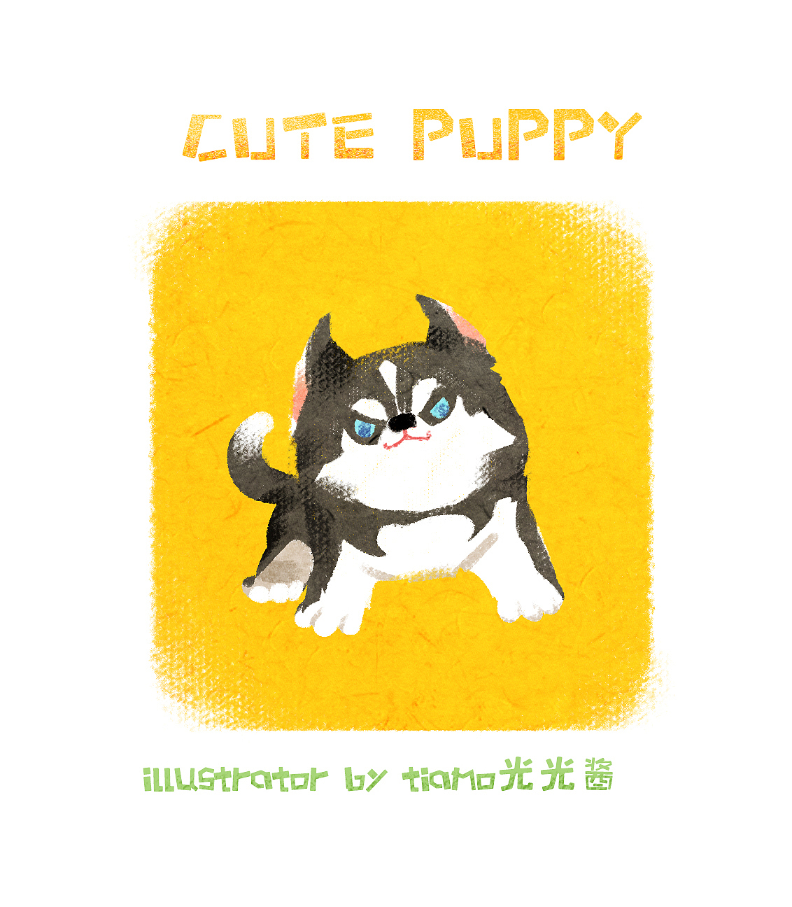 萌萌小动物!!!第一弹!