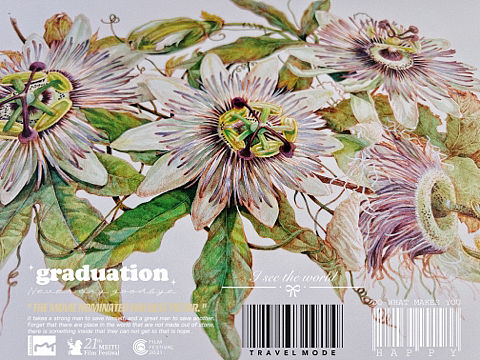 蘸水笔针管笔｜西番莲花