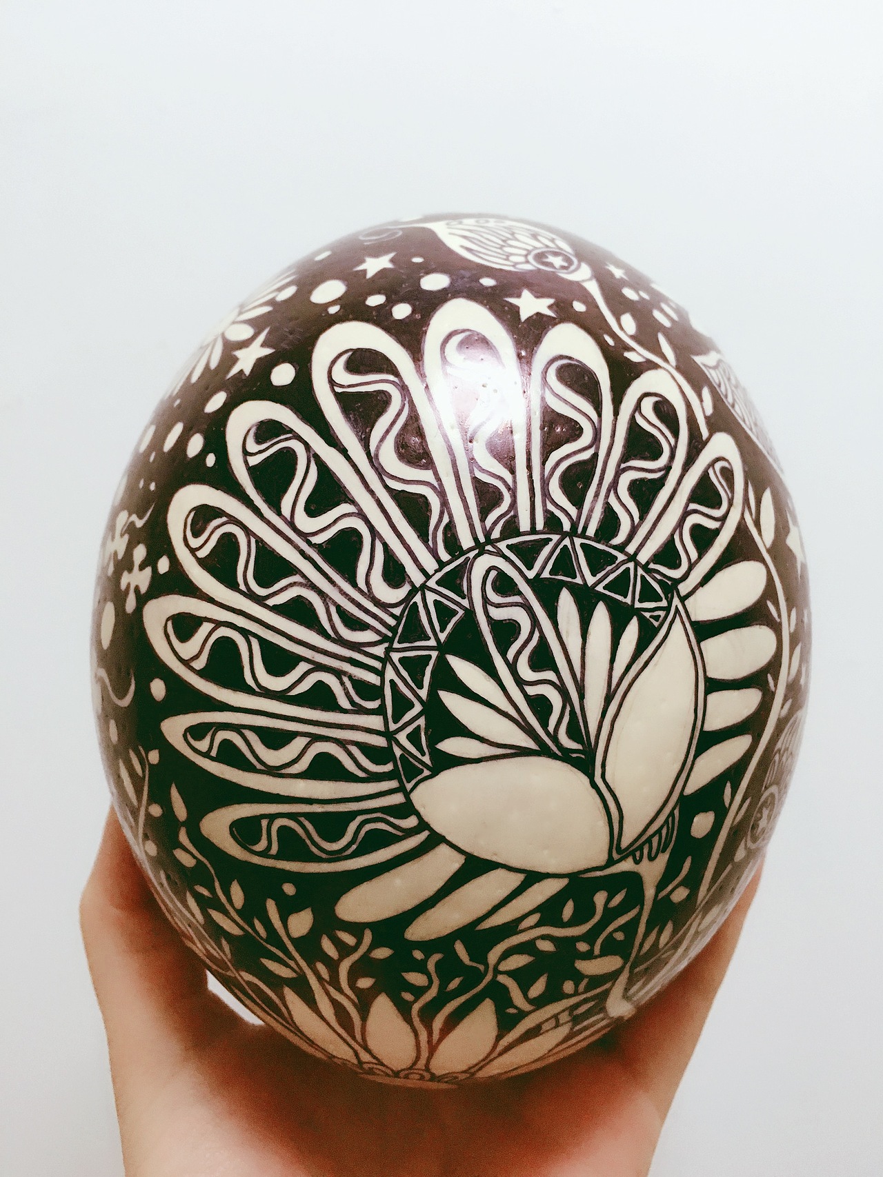 鸵鸟蛋黑白插画